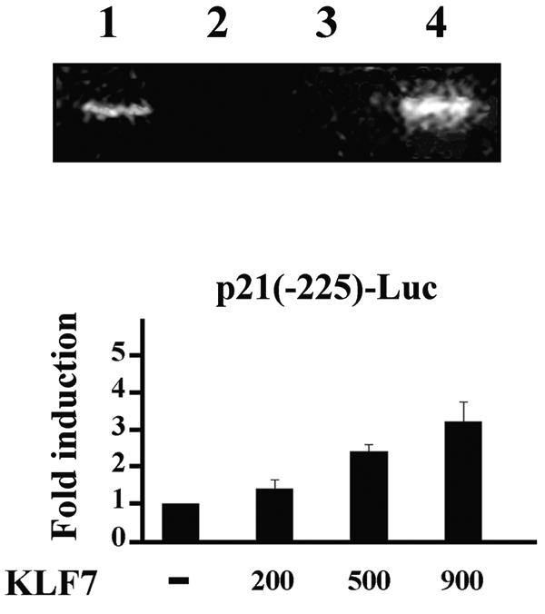 FIG. 8.