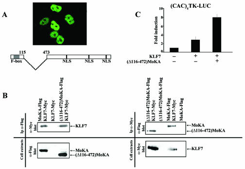 FIG. 12.