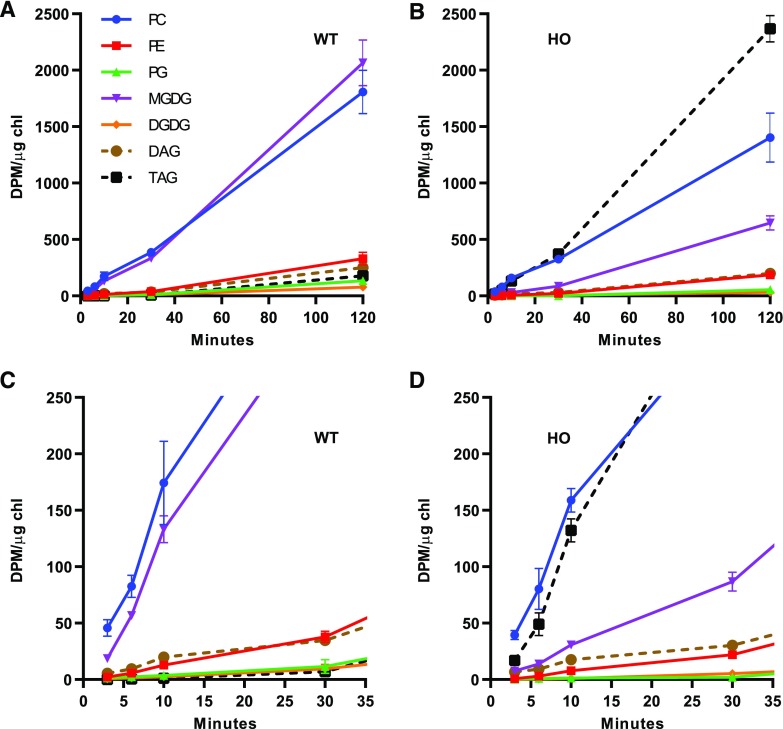 Figure 5.