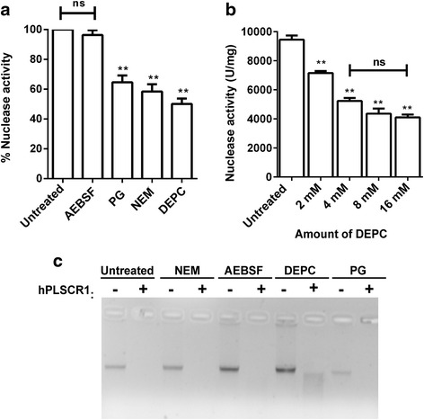 Fig. 7