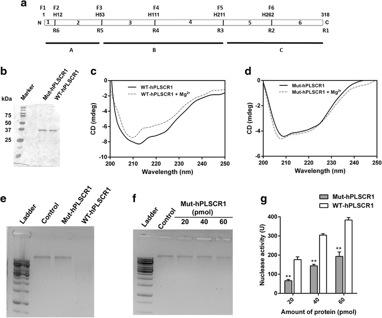 Fig. 8