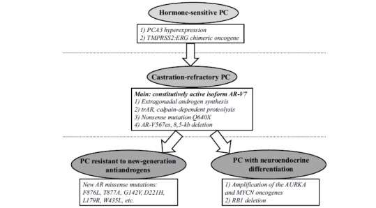 Fig. (1)