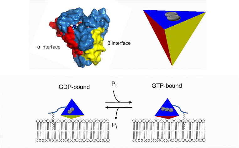 Fig. 4