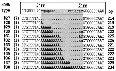 graphic file with name cdf359t2.jpg