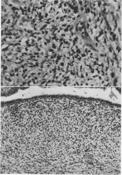 Fig. 3., Fig. 4.