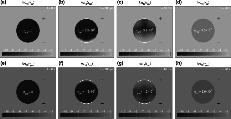 Fig. 4