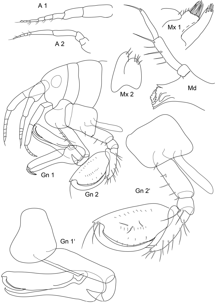 Figure 1.