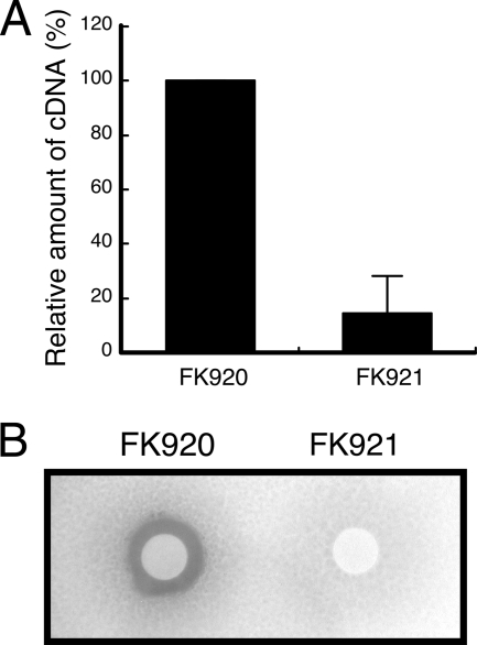 FIG. 8.