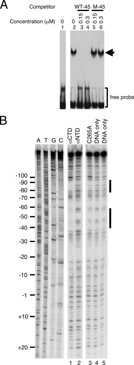 FIG. 7.