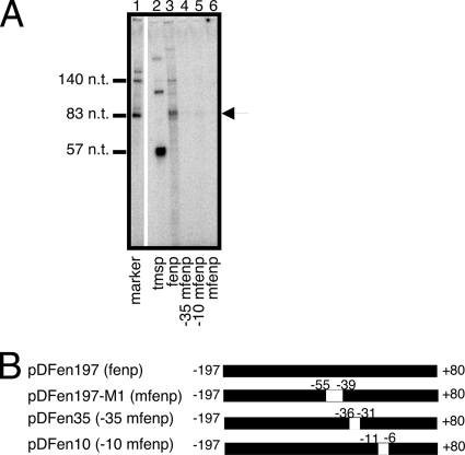 FIG. 6.