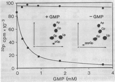 graphic file with name pnas00256-0074-a.jpg