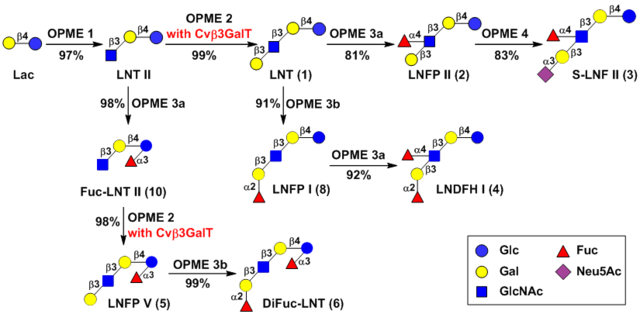 graphic file with name nihms-1579648-f0001.jpg