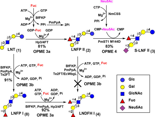 Scheme 2.