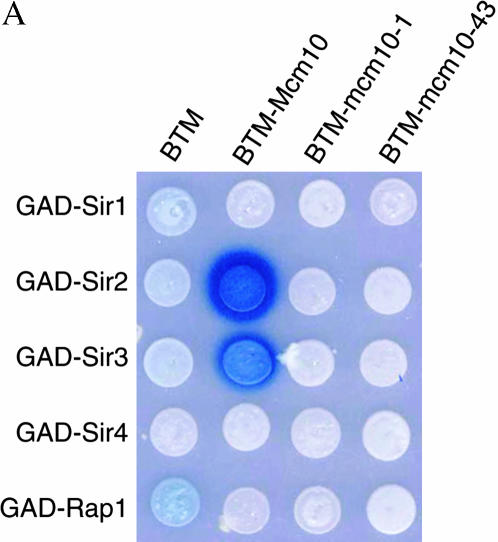 Figure 3.