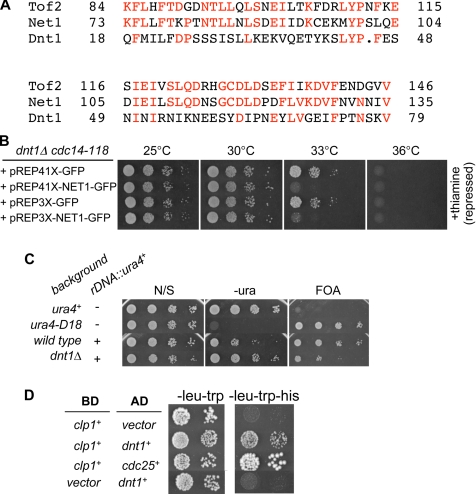 Figure 5.