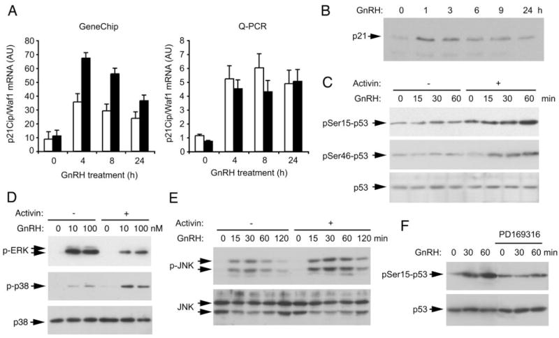 Fig. 10