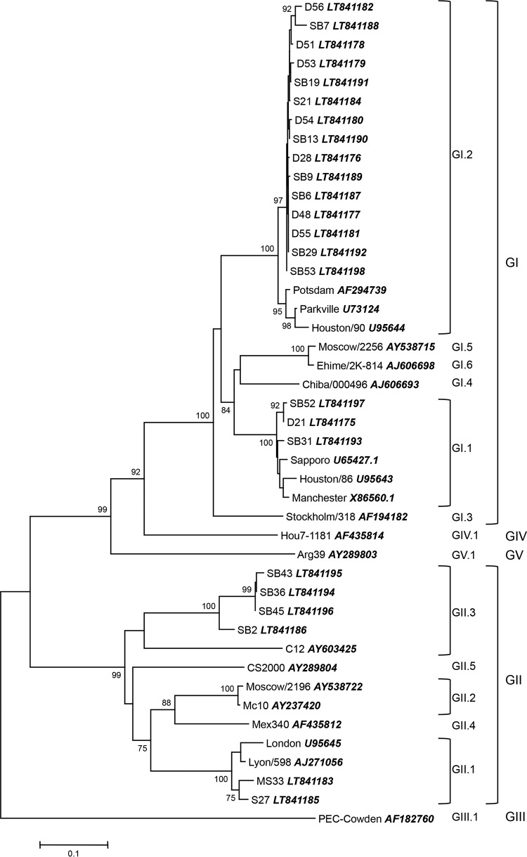 FIG 3