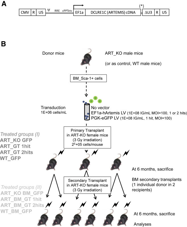 Figure 1