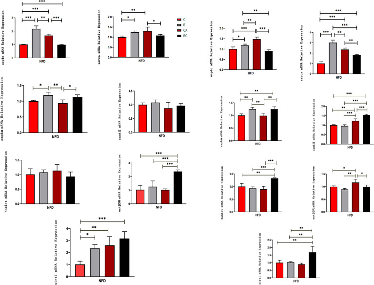 Figure 4