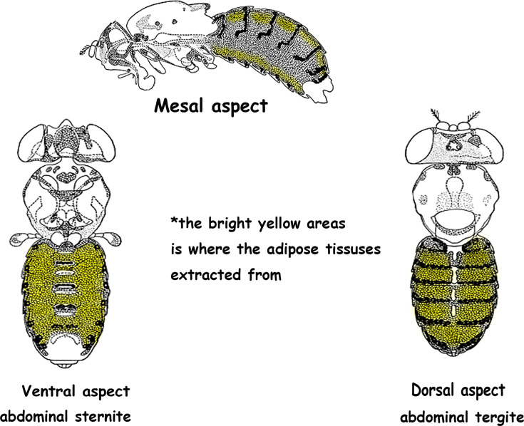 Figure 10