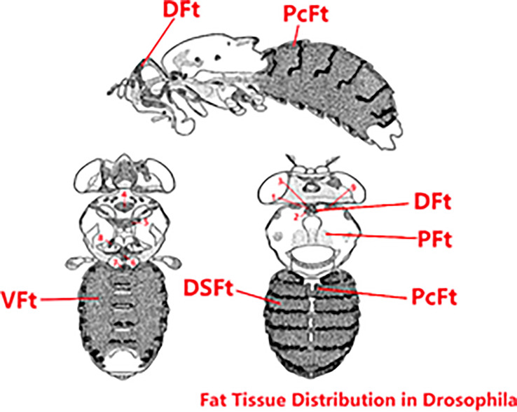 Figure 9