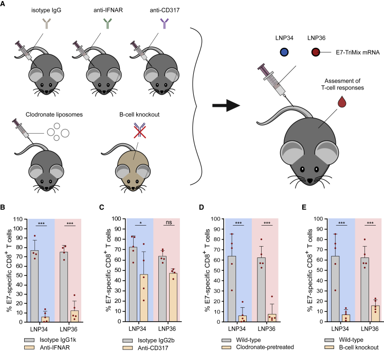 Figure 6