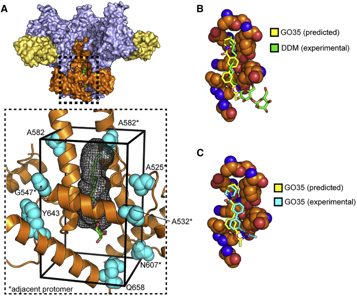 Figure 2