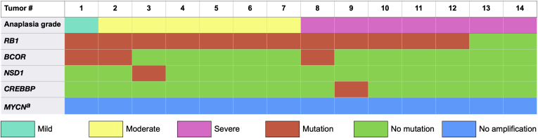 Figure 4