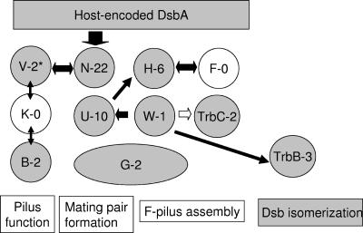 FIG. 4.