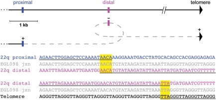 Figure 3.