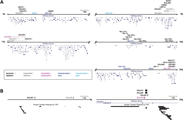 Figure 4.