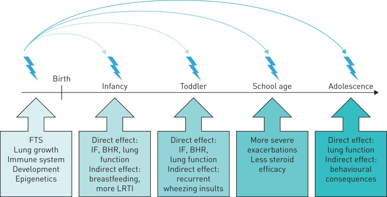 FIGURE 1