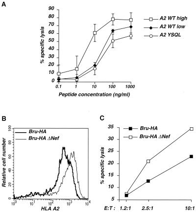 FIG. 7