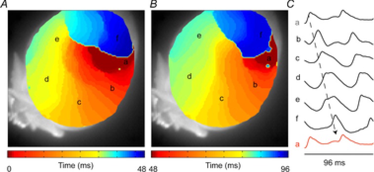 Figure 6