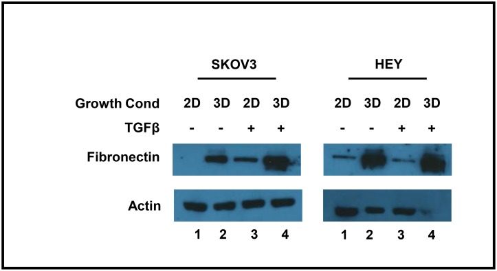 Fig 5