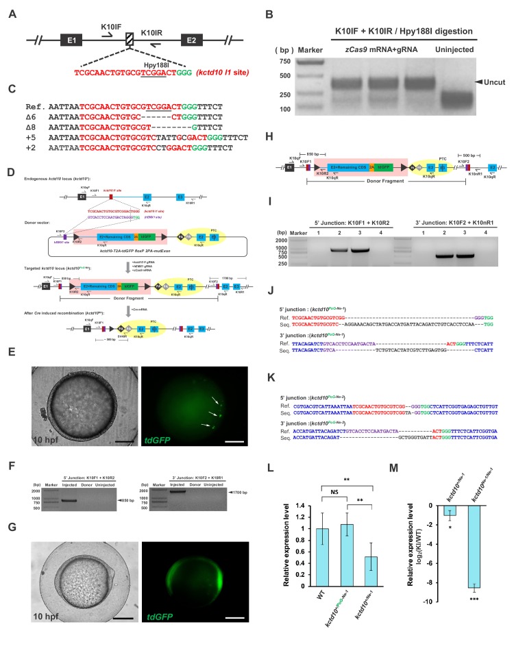 Figure 2—figure supplement 2.