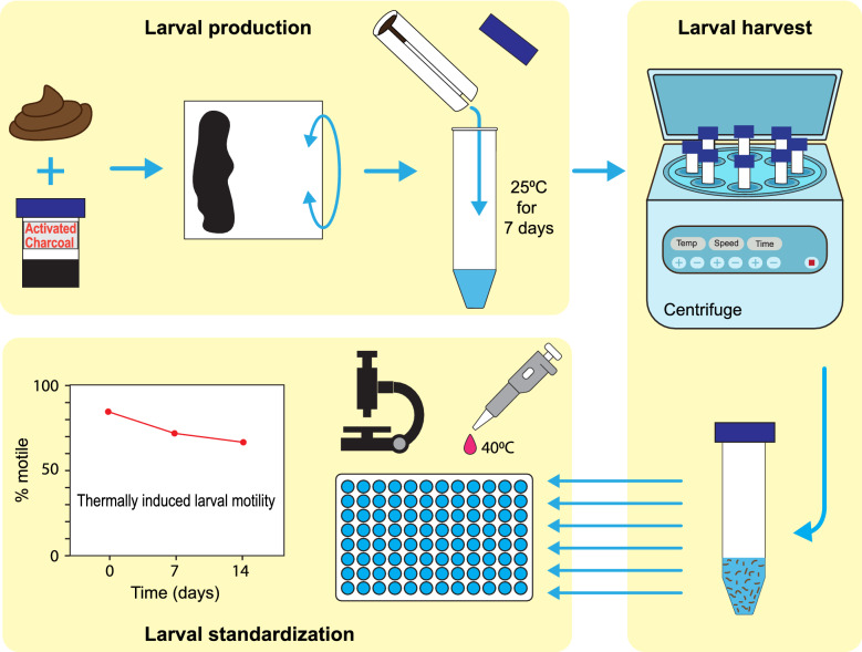 graphic file with name 13071_2022_5371_Figa_HTML.jpg