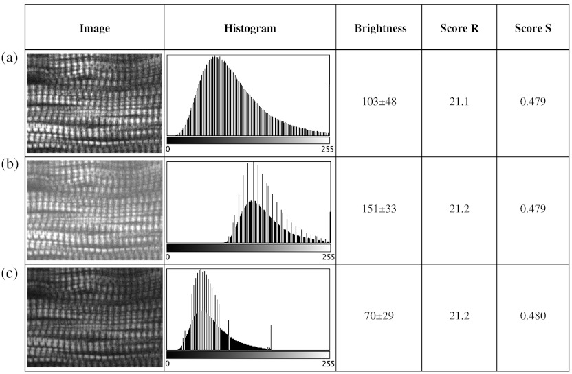 Fig. 3