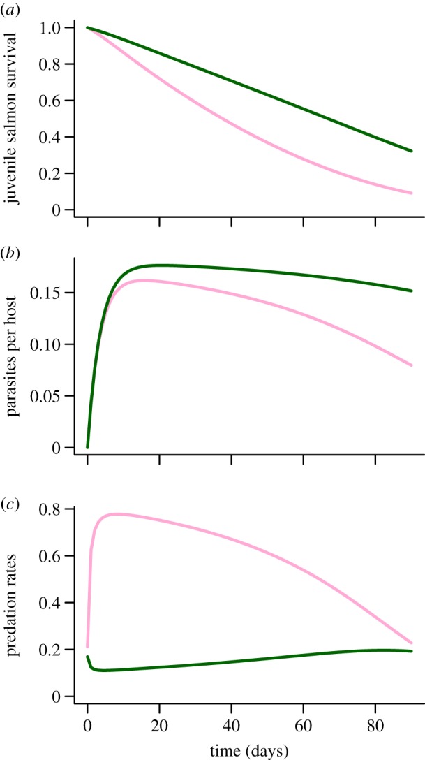 Figure 4.