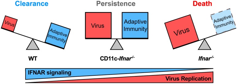 Fig 10