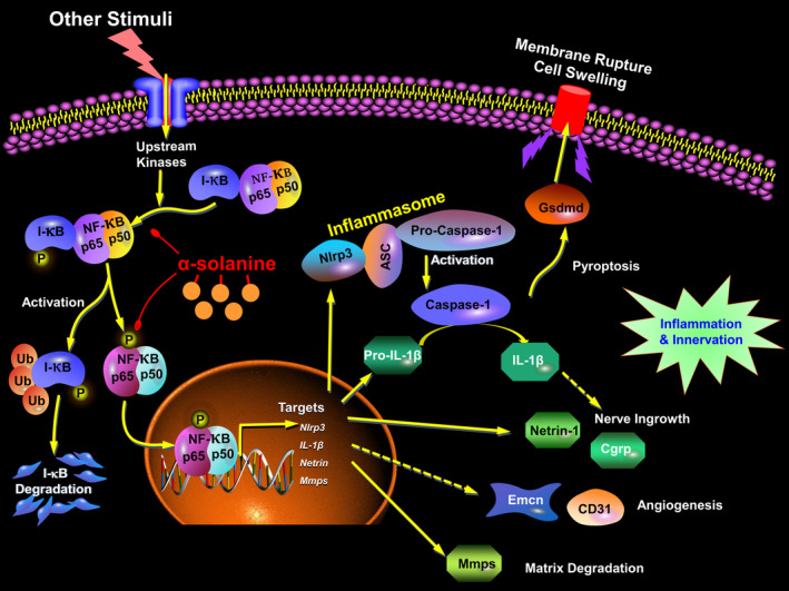 FIGURE 6