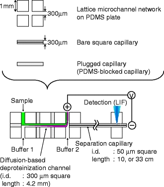 Fig. 1