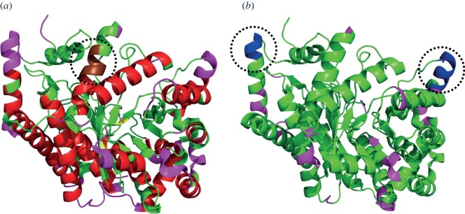 Figure 5.