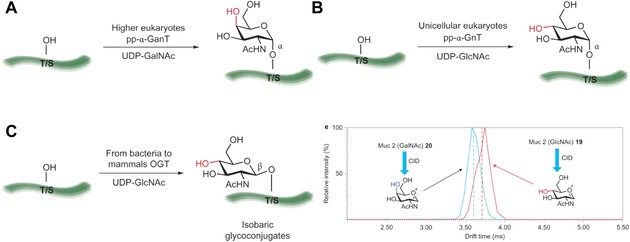 Figure 41