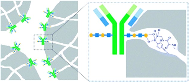 Figure 33