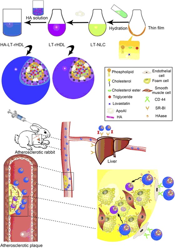 Figure 20