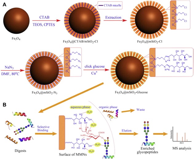 Figure 36