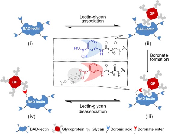 Figure 37