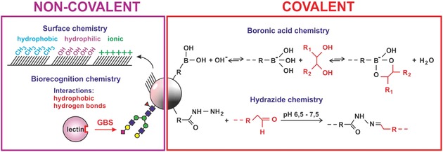 Figure 31