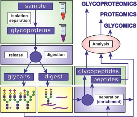 Figure 30